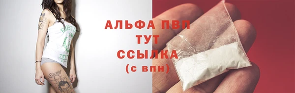 стаф Богородск