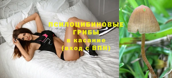герыч Богородицк